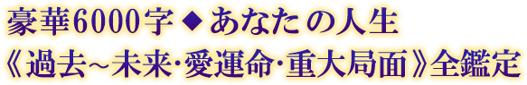 豪華6000字◆あなたの人生《過去〜未来・愛運命・重大局面》全鑑定 豪華6000字◆あなたの人生《過去〜未来・愛運命・重大局面》全鑑定