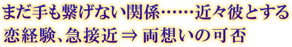 まだ手も繋げない関係……近々彼とする恋経験、急接近⇒両想いの可否 まだ手も繋げない関係……近々彼とする恋経験、急接近⇒両想いの可否