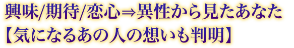興味/期待/恋心⇒異性から見たあなた【気になるあの人の想いも判明】 興味/期待/恋心⇒異性から見たあなた【気になるあの人の想いも判明】